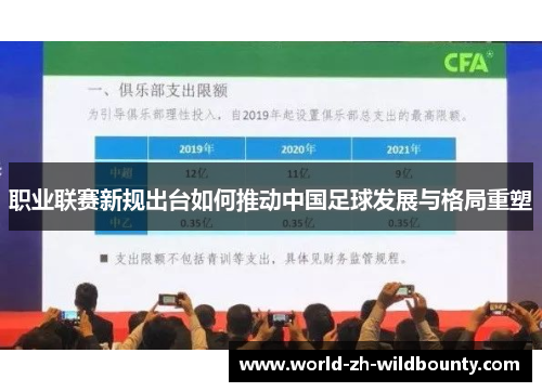职业联赛新规出台如何推动中国足球发展与格局重塑 职业联赛新规出台如何推动中国足球发展与格局重塑