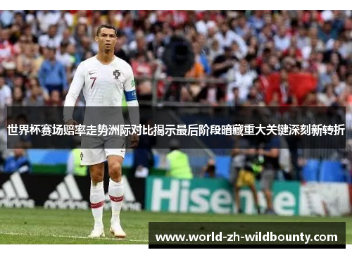 世界杯赛场赔率走势洲际对比揭示最后阶段暗藏重大关键深刻新转折