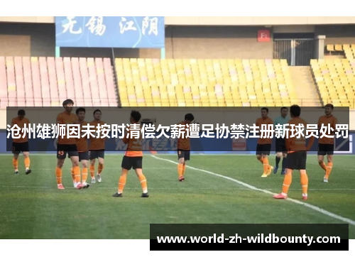沧州雄狮因未按时清偿欠薪遭足协禁注册新球员处罚 沧州雄狮因未按时清偿欠薪遭足协禁注册新球员处罚