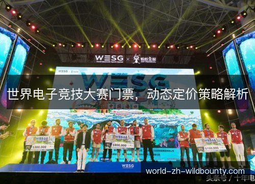 世界电子竞技大赛门票，动态定价策略解析